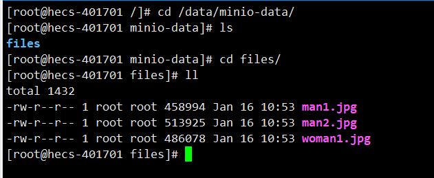 image-20230116110639141